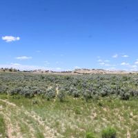 RA391 GMU 5A - 213 acres images 3