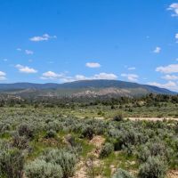 RA391 GMU 5A - 213 acres images 4