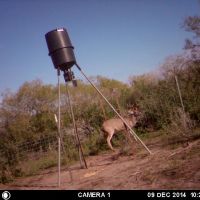 52 Acre South Texas Ranch with nice Lodging