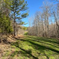 Shiloh Farm images 2