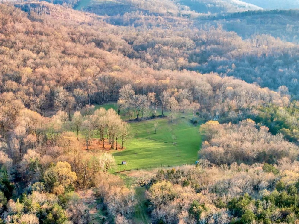 550.59 acres of High Fenced Phenomenal Hunting and Recreational Paradise in Marshall County Tennessee featured image