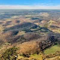 550.59 acres of High Fenced Phenomenal Hunting and Recreational Paradise in Marshall County Tennessee images 4