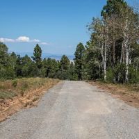 Whispering Pines images 5
