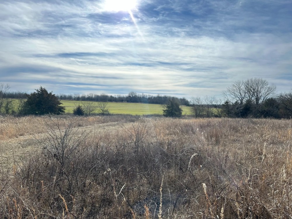 80 Acre Kansas Hunting Tillable Ground for Sale - Bourbon County featured image