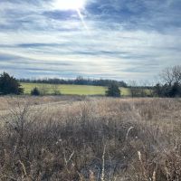 80 Acre Kansas Hunting Tillable Ground for Sale - Bourbon County