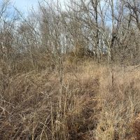80 Acre Kansas Hunting Tillable Ground for Sale - Bourbon County images 4