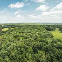 Woodland Acres images 4