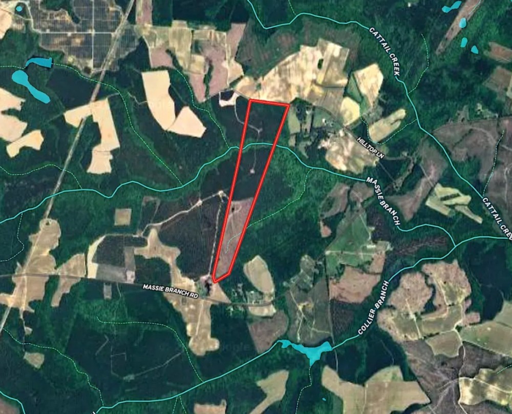 84 acres of Timber Land For Sale in Greensville County VA featured image