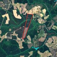 84 acres of Timber Land For Sale in Greensville County VA