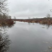 Beaver Creek Wild Woods