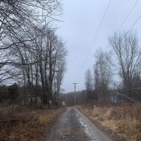 Beaver Creek Wild Woods images 3
