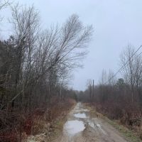 Beaver Creek Wild Woods images 4