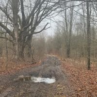 Beaver Creek Wild Woods images 5