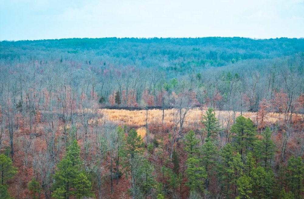 Clear Creek 3 featured image