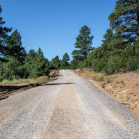 Ponderosa Lot 2 images 2