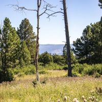 Ponderosa Lot 2 images 4