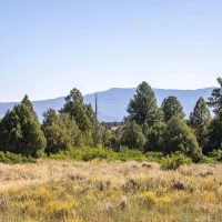 Ponderosa Lot 2 images 5