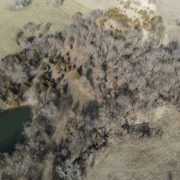 80 Acre Hunting Tract with CRP Ground for Sale Mercer County images 4