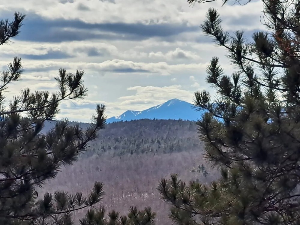 Ausable Mountain Forest featured image