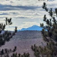 Ausable Mountain Forest