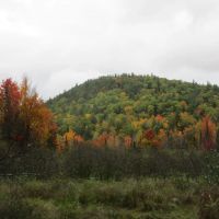 Ausable Mountain Forest images 3