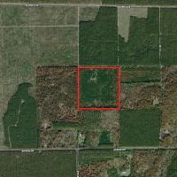 Town of Rome 40 acre timber lot for sale in Adams County WI images 2