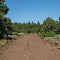 Ponderosa Lot 1 images 4