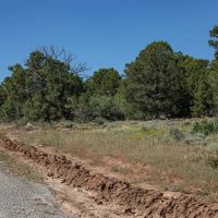 Ponderosa Lot 1 images 5