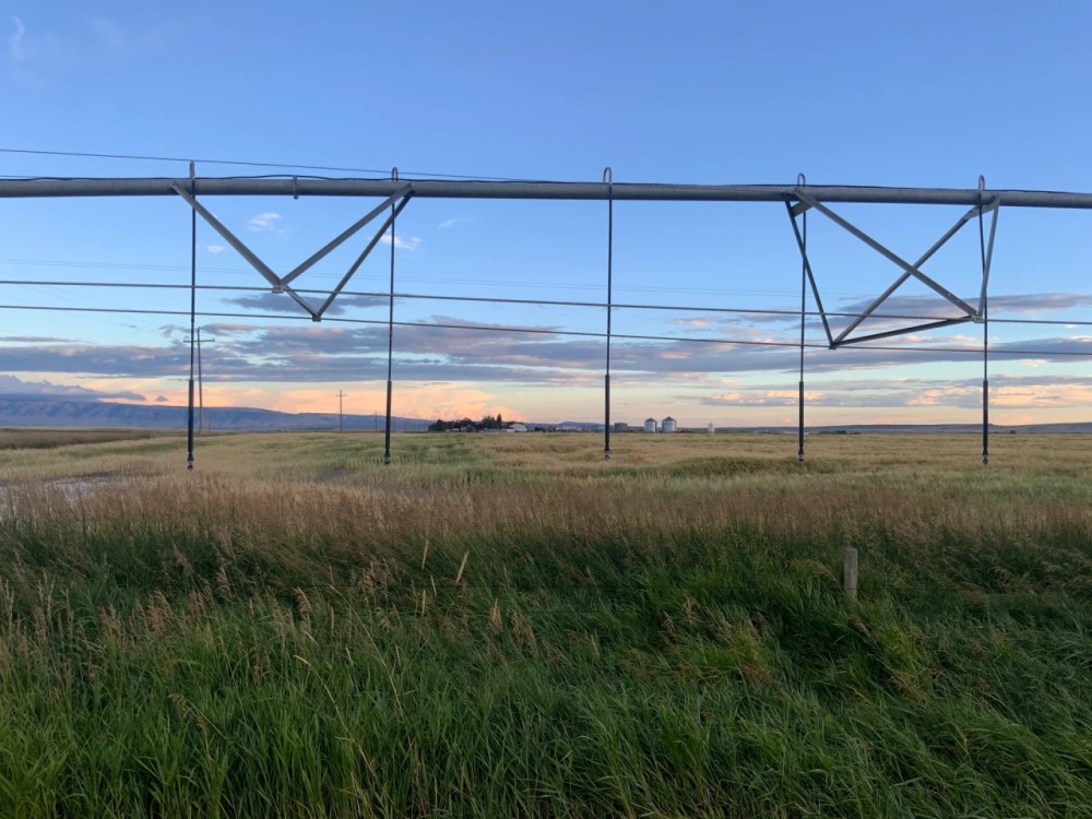 Bressler Farm featured image