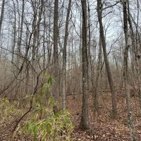 17-015-ashland-40 images 2
