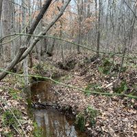 17-015-ashland-40 images 3