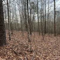 17-015-ashland-40 images 4