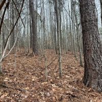 17-015-ashland-40 images 5