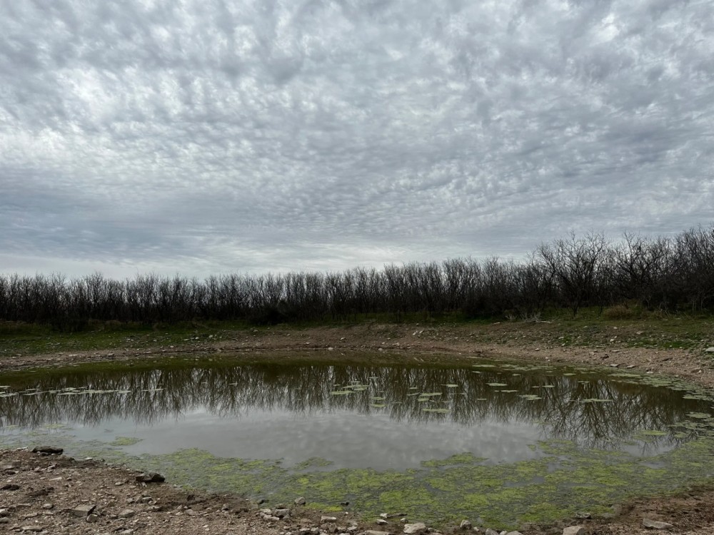 New Listing 21 Acres Tract 18 Shackelford County featured image