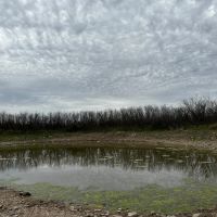 New Listing 21 Acres Tract 18 Shackelford County