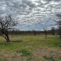 New Listing 21 Acres Tract 18 Shackelford County images 3