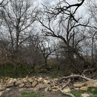New Listing 21 Acres Tract 18 Shackelford County images 4