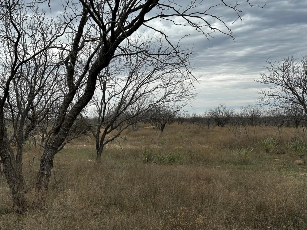 New Listing 22 Acres Tract 19 Shackelford County featured image