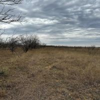 New Listing 22 Acres Tract 19 Shackelford County images 3
