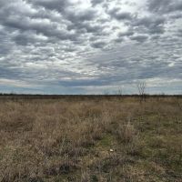 New Listing 22 Acres Tract 19 Shackelford County images 4