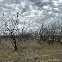 New Listing 10.5 Acres Tract 8 Callahan County