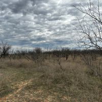 New Listing 10.5 Acres Tract 8 Callahan County images 2