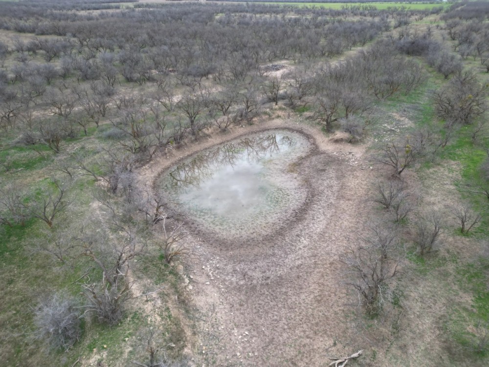 New Listing 29.3 Acres Tract 17 Shackelford County featured image