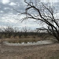 New Listing 29.3 Acres Tract 17 Shackelford County images 2