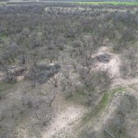 New Listing 29.3 Acres Tract 17 Shackelford County images 5