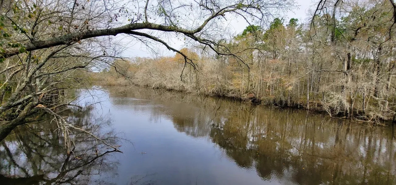 Alapaha River Camp Hunting Land for Sale