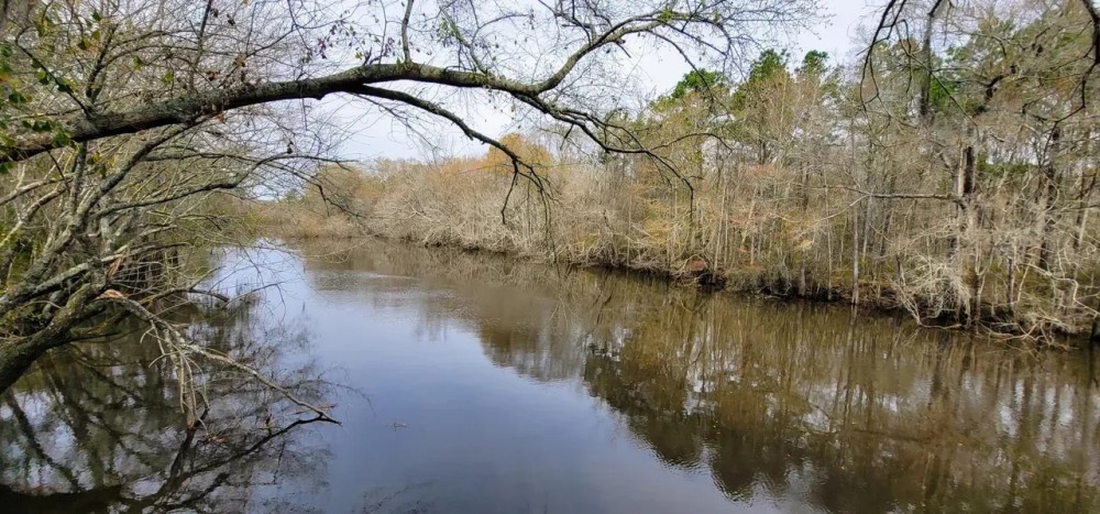 Alapaha River Camp featured image