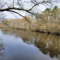 Alapaha River Camp images 1