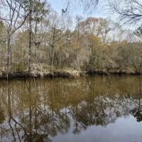Alapaha River Camp images 2