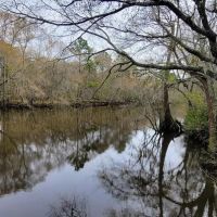 Alapaha River Camp images 3